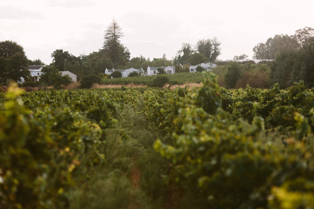 Leipzig Country House & Winery Nuy Dış mekan fotoğraf